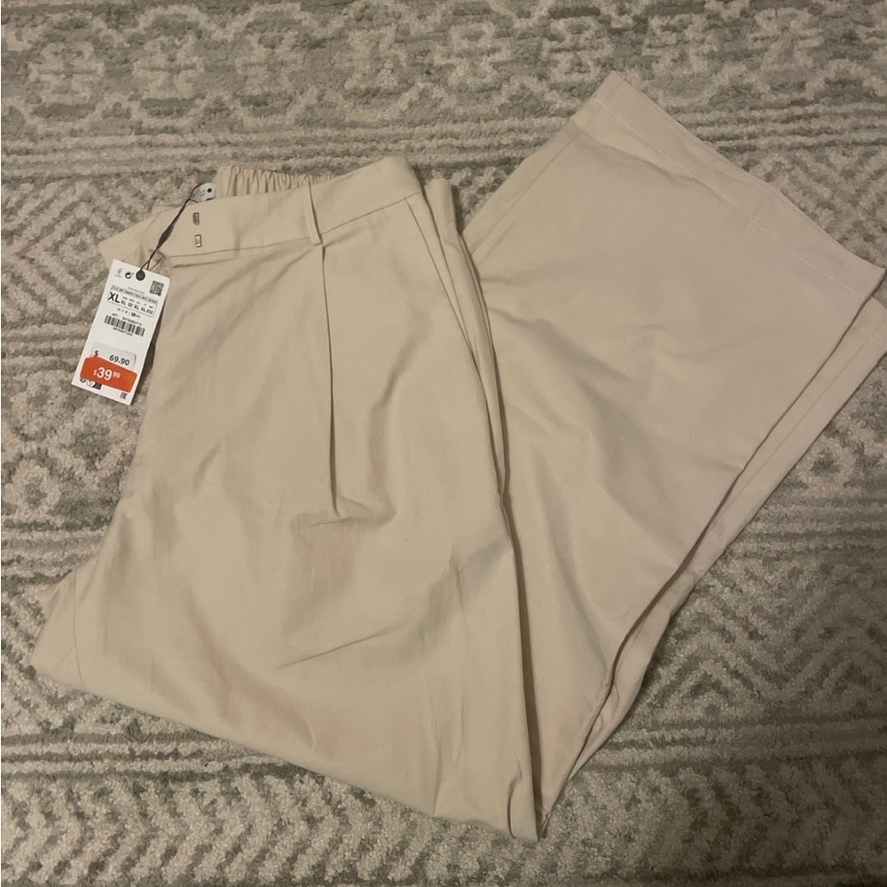 Zara beige pants